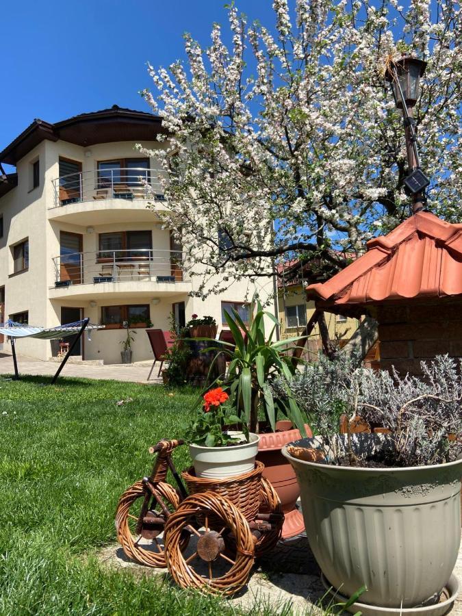 Апартаменти Casa Ana Cluj Екстер'єр фото