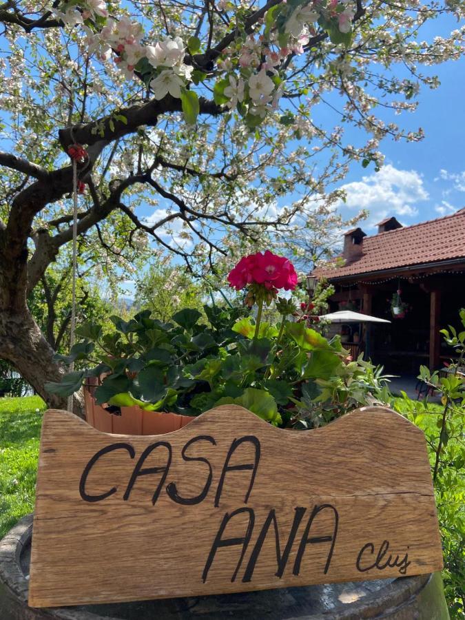 Апартаменти Casa Ana Cluj Екстер'єр фото